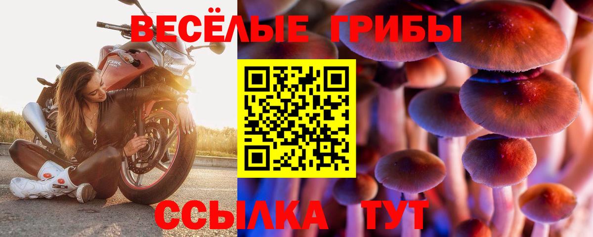 Гашиш Рыбинск